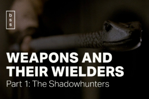Weapons and Their Wielders: Part 1 – The Shadowhunters