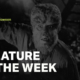 31 Days of Halloween: Creature of the Week