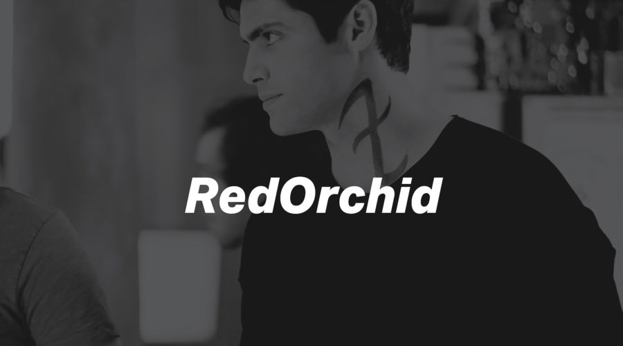 Author Spotlight: RedOrchid
