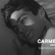 Fandom Spotlight: Carmenlire