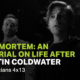 Post-Mortem: An Editorial on Life After Quentin Coldwater