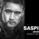 Fandom Spotlight: SAspihesi